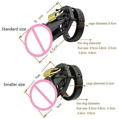Sex Toy Chastity Devices Cage Locked Cock Cage for Men with 5 Different Ring Sizes Penis Exercise Bondage Gear & Accessories